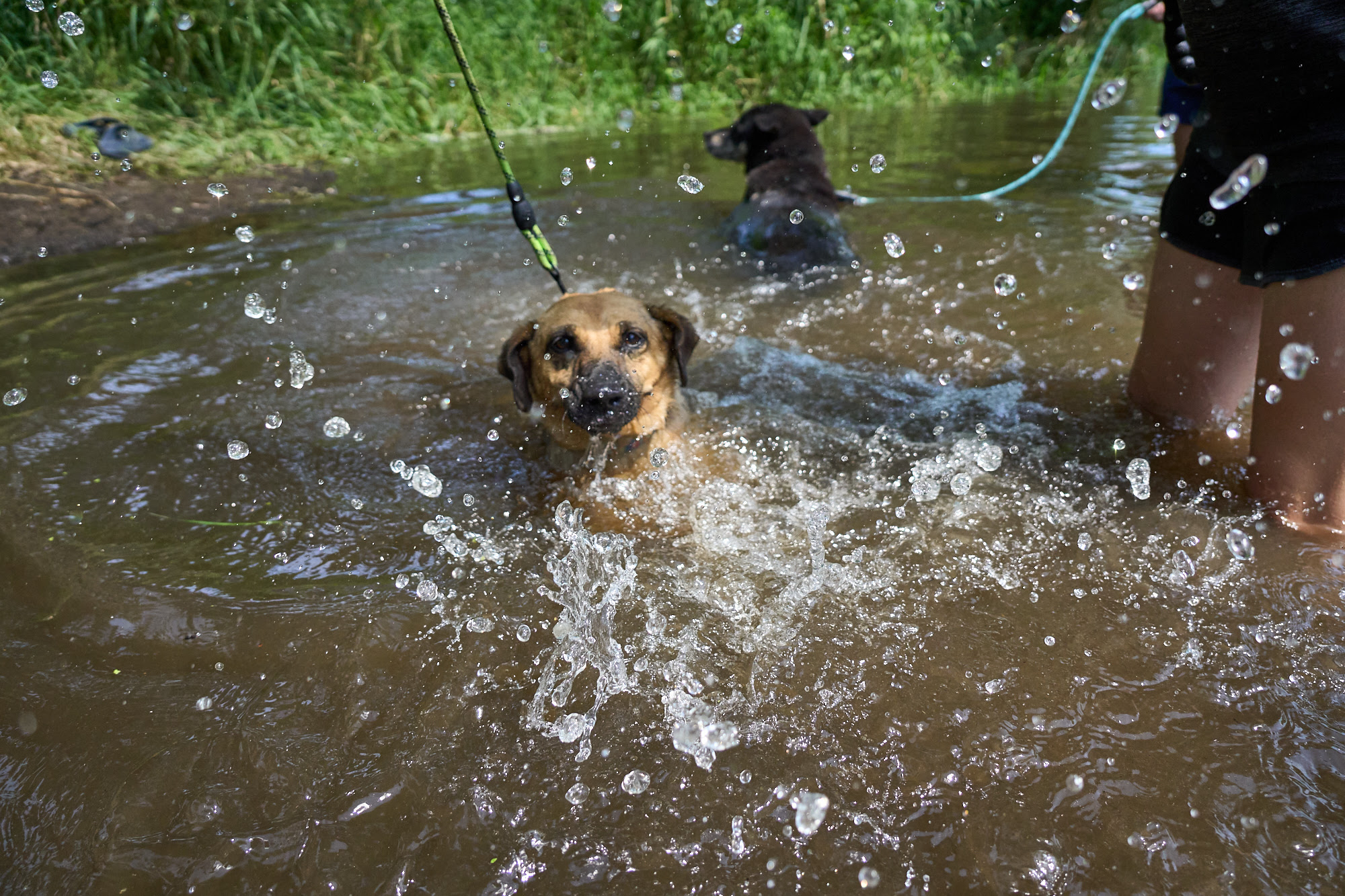 ahh - love to splash