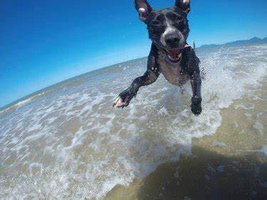 beach swim