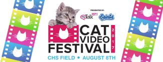 cat video logo