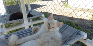 Lionel in his hammock