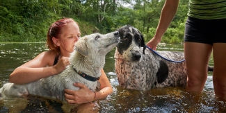 Jude and White swimming